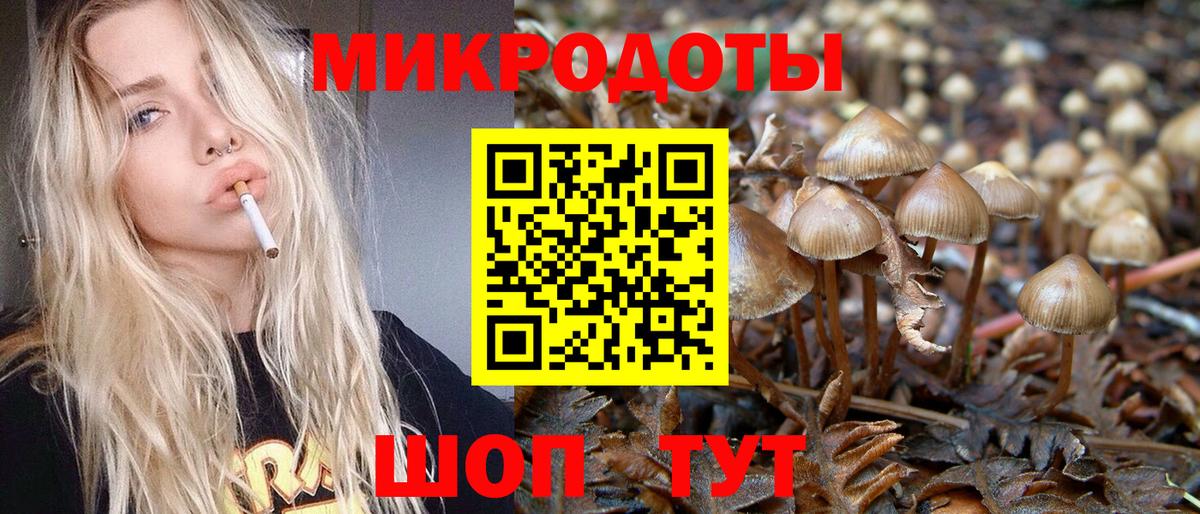 Псилоцибиновые грибы мухоморы Магнитогорск