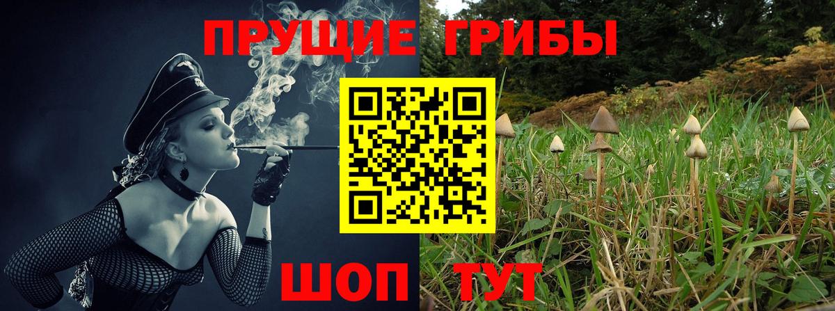 Галлюциногенные грибы Psilocybe  Вход с VPN  Псилоцибиновые грибы Magic Shrooms  Магнитогорск 